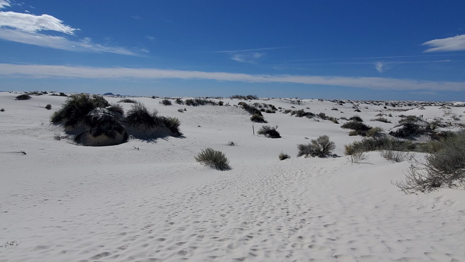 White Sands Playa and Dune Life Trails 